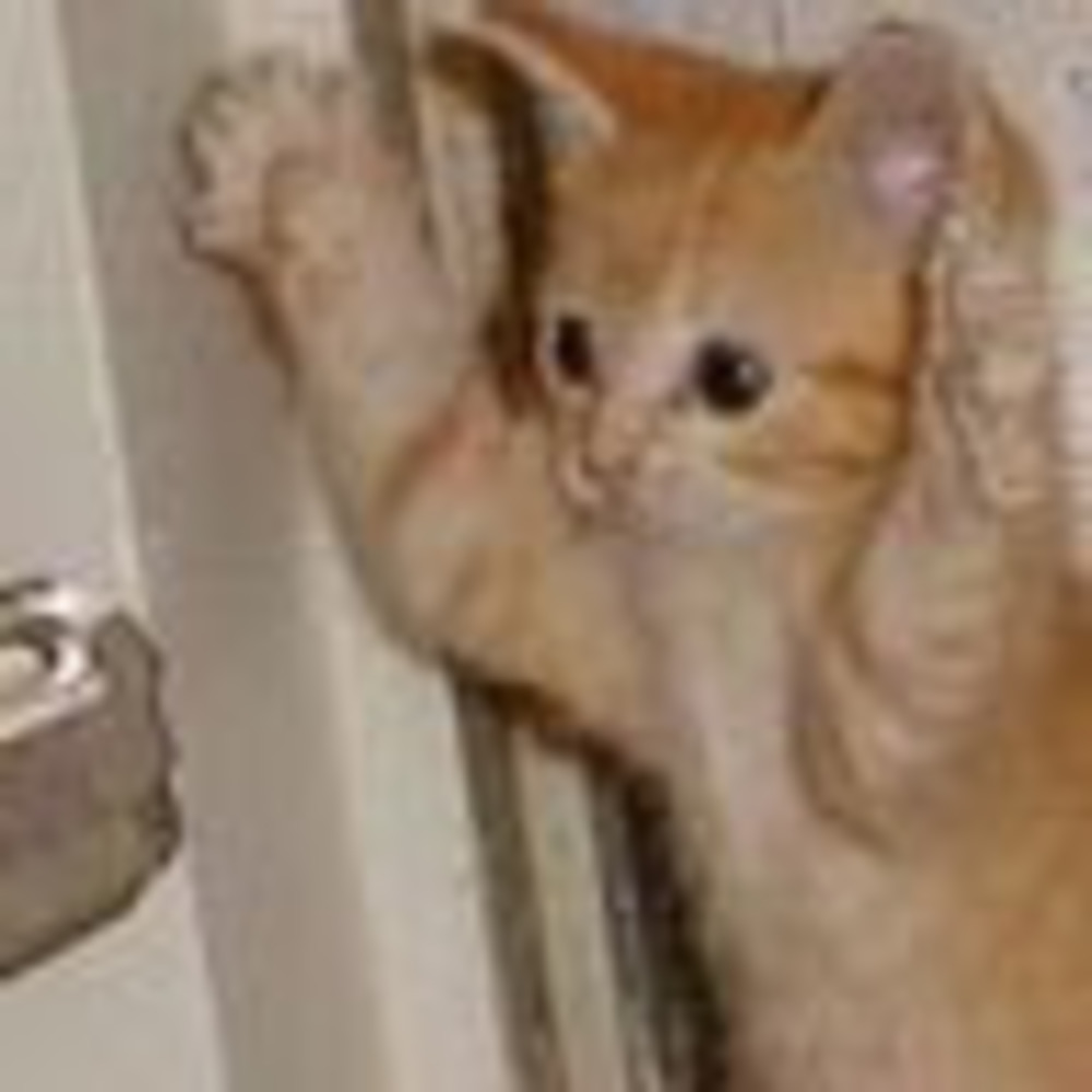 Meet your Posher, Yana